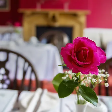 St. Raphael Bed and breakfast York