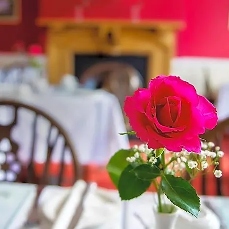 St. Raphael Bed and Breakfast 4*